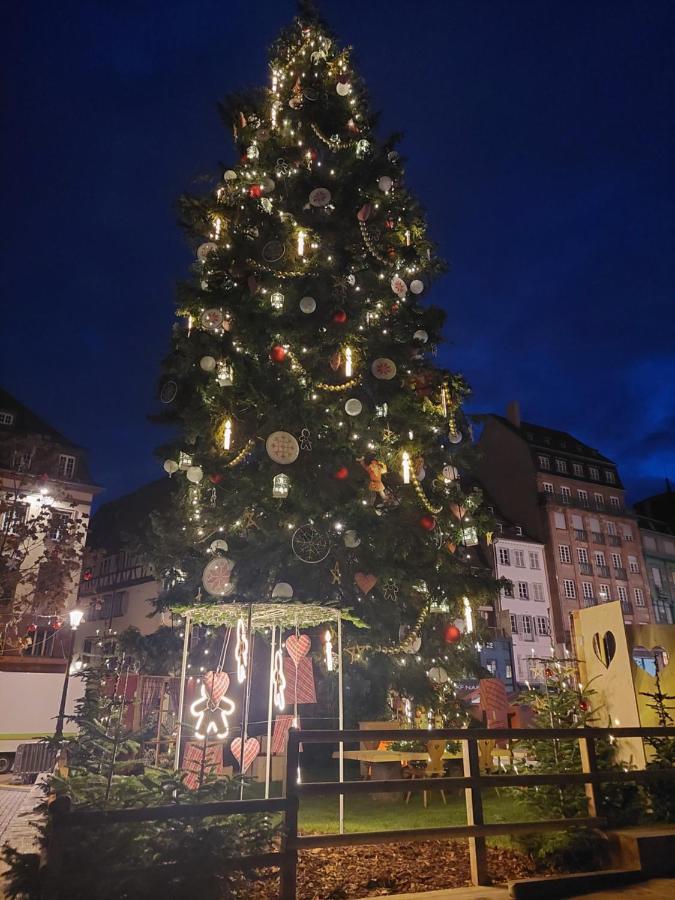 Porte De France Strasbourg Ngoại thất bức ảnh